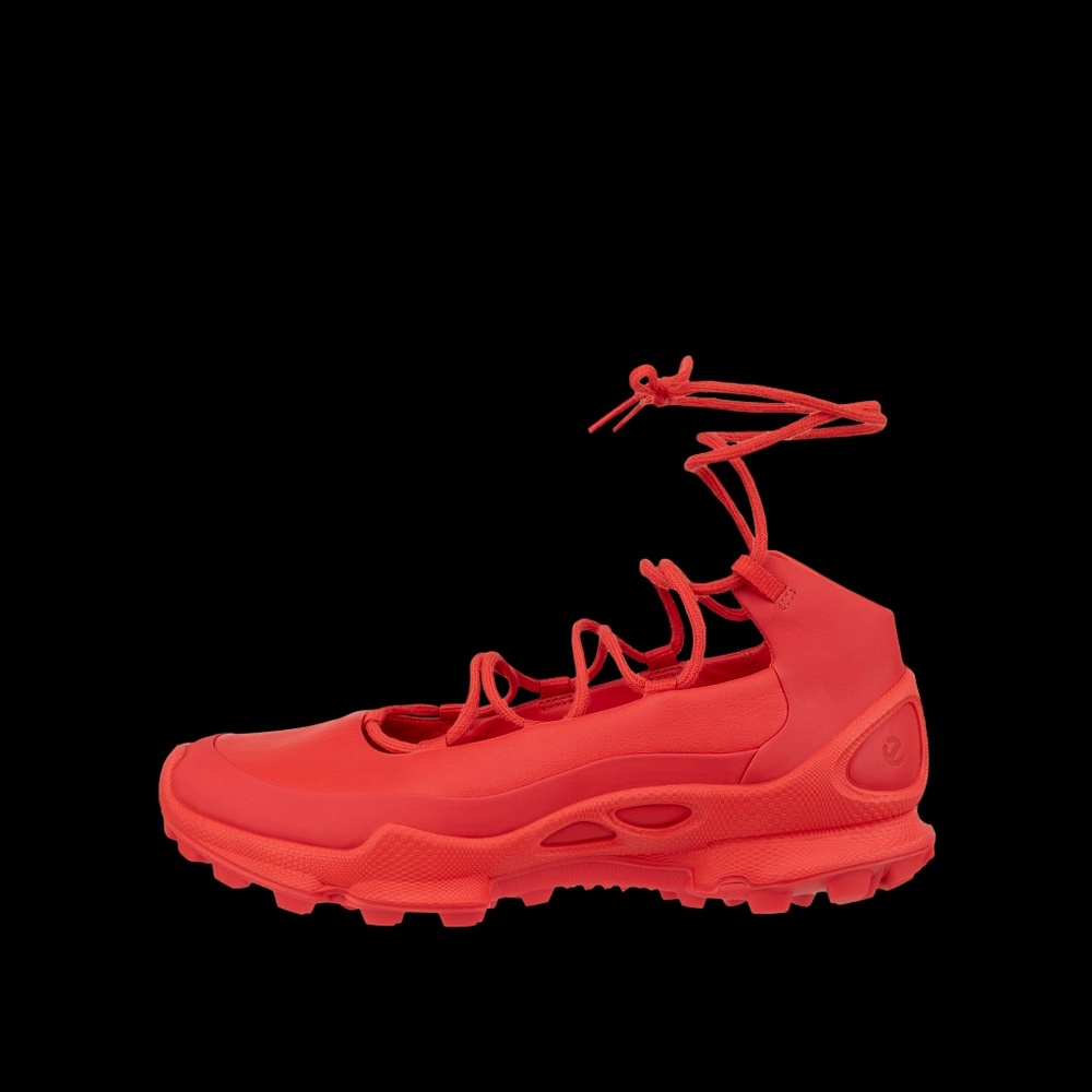 ISO: ECCO Biom C-Trail lace up sneaker ballet flats!!! sell this to me!!